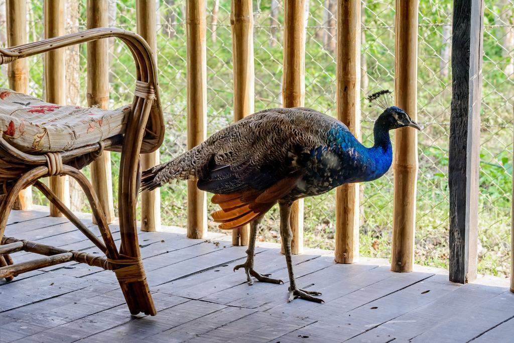 מלון Meghauli Siddhartha Wildlife Retreat מראה חיצוני תמונה