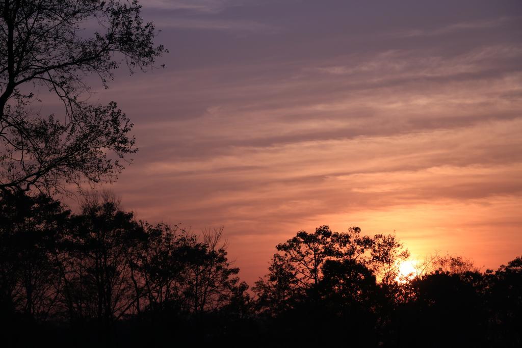 מלון Meghauli Siddhartha Wildlife Retreat מראה חיצוני תמונה